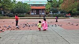 IMG_6581.JPG
