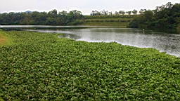 IMG_6659.JPG