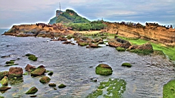 IMG_8716.JPG