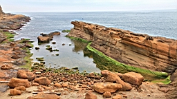 IMG_8735.JPG