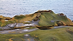 IMG_8744.JPG