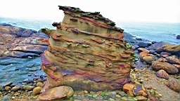 IMG_8749.JPG