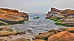 IMG_8754.JPG