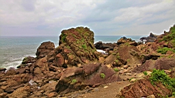 IMG_8760.JPG