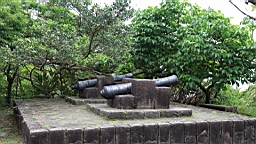 IMG_8763.JPG