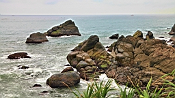 IMG_8766.JPG