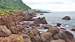 IMG_8770.JPG