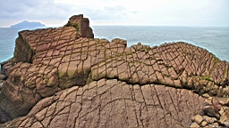 IMG_8774.JPG