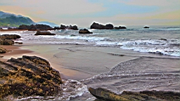 IMG_8792.JPG