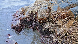 IMG_8794.JPG