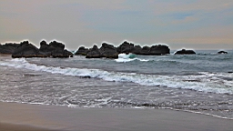 IMG_8797.JPG
