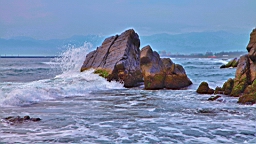 IMG_8799.JPG