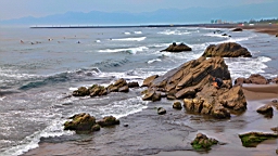 IMG_8835.JPG