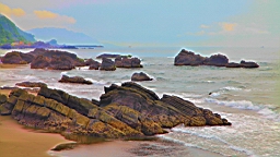 IMG_8838.JPG