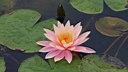 IMG_8844.JPG