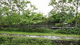 IMG_8849.JPG
