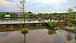 IMG_8856.JPG
