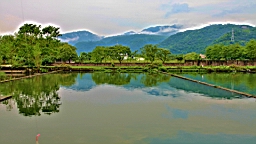 IMG_8859.JPG