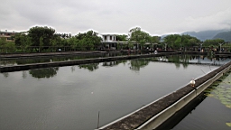 IMG_8868.JPG