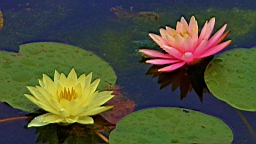 IMG_8873.JPG