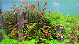 IMG_8878.JPG