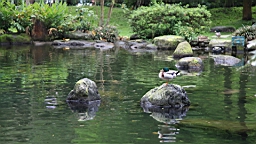 IMG_8893.JPG