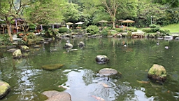 IMG_8894.JPG