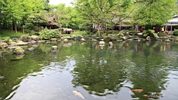 IMG_8896.JPG