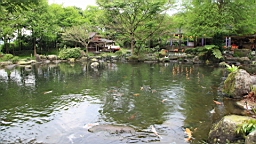 IMG_8897.JPG