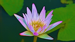 IMG_8900.JPG