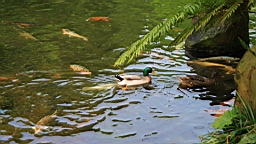 IMG_8901.JPG