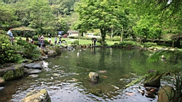 IMG_8902.JPG