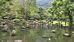 IMG_8906.JPG