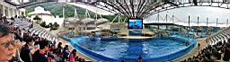 20130407_114557.jpg