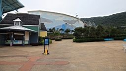 IMG_8944.JPG