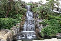 IMG_8947.JPG