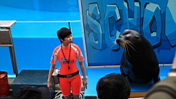 IMG_8949.JPG