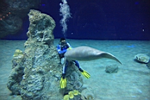 IMG_9073.JPG