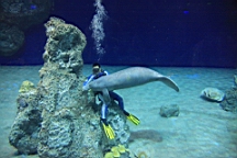 IMG_9078.JPG
