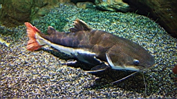 IMG_9087.JPG