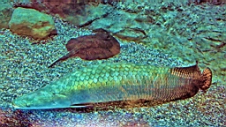 IMG_9088.JPG