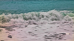 IMG_9138.JPG