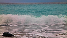 IMG_9141.JPG