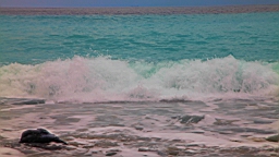 IMG_9142.JPG