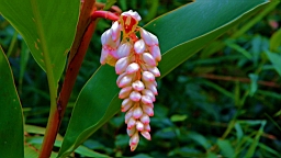 IMG_9157.JPG