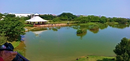 20130415_093249.jpg