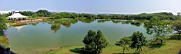 20130415_093303.jpg
