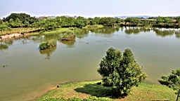 IMG_9185.JPG
