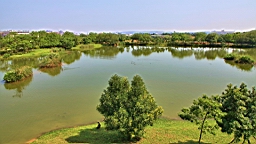 IMG_9188.JPG