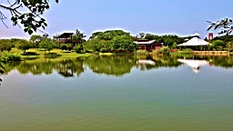 IMG_9193.JPG